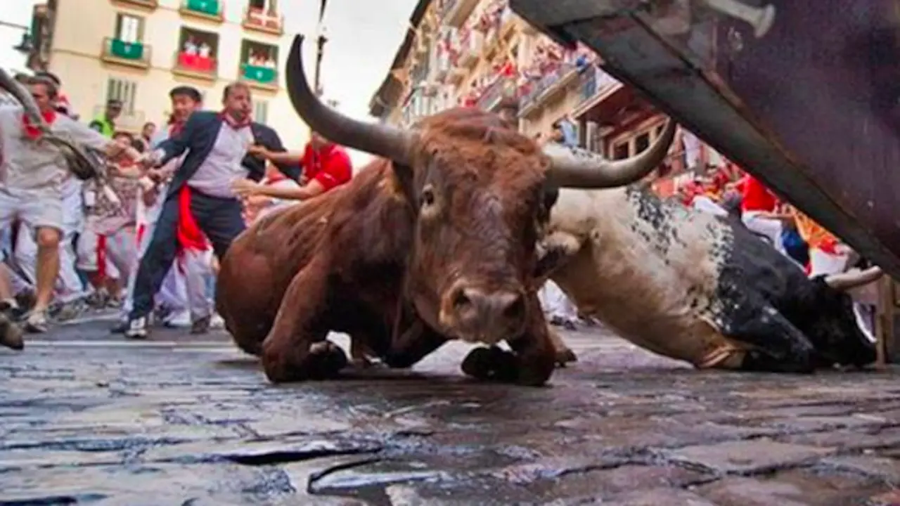Sanfermines 2016. / @Isanimalista