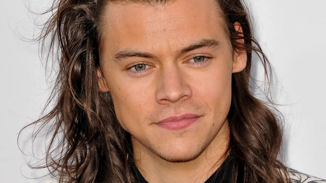 Harry Styles. / www.elfarandi.com