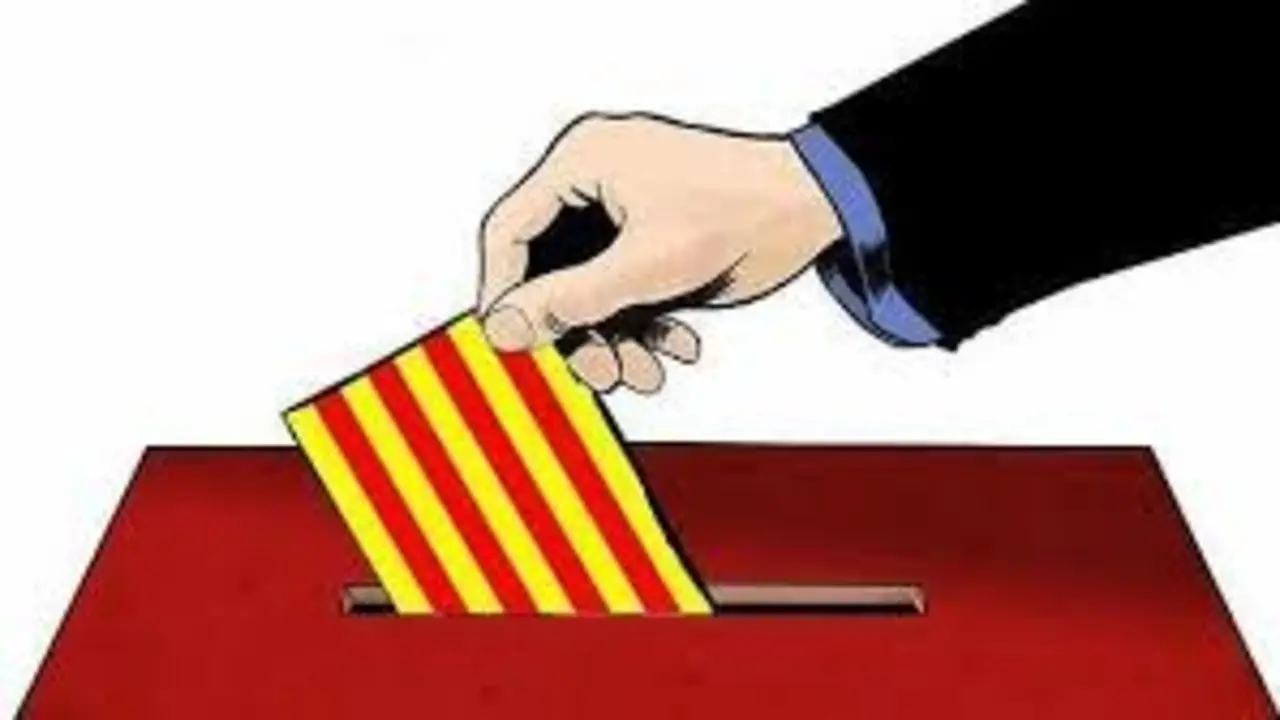 consulta