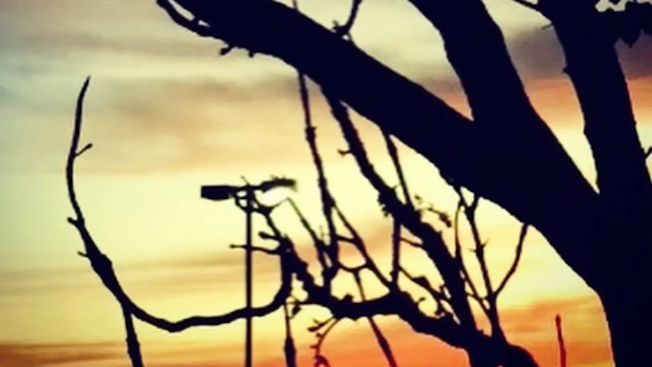 Amanecer.