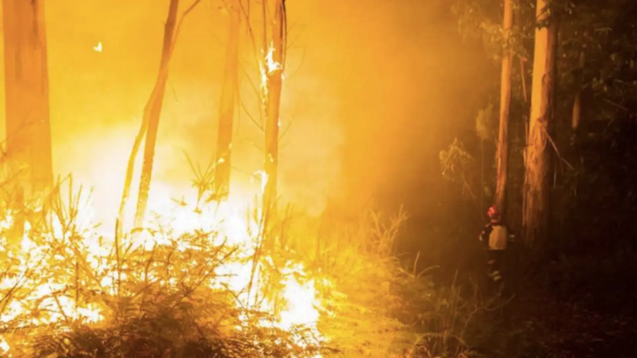Incendios en Galicia. / RTVE
