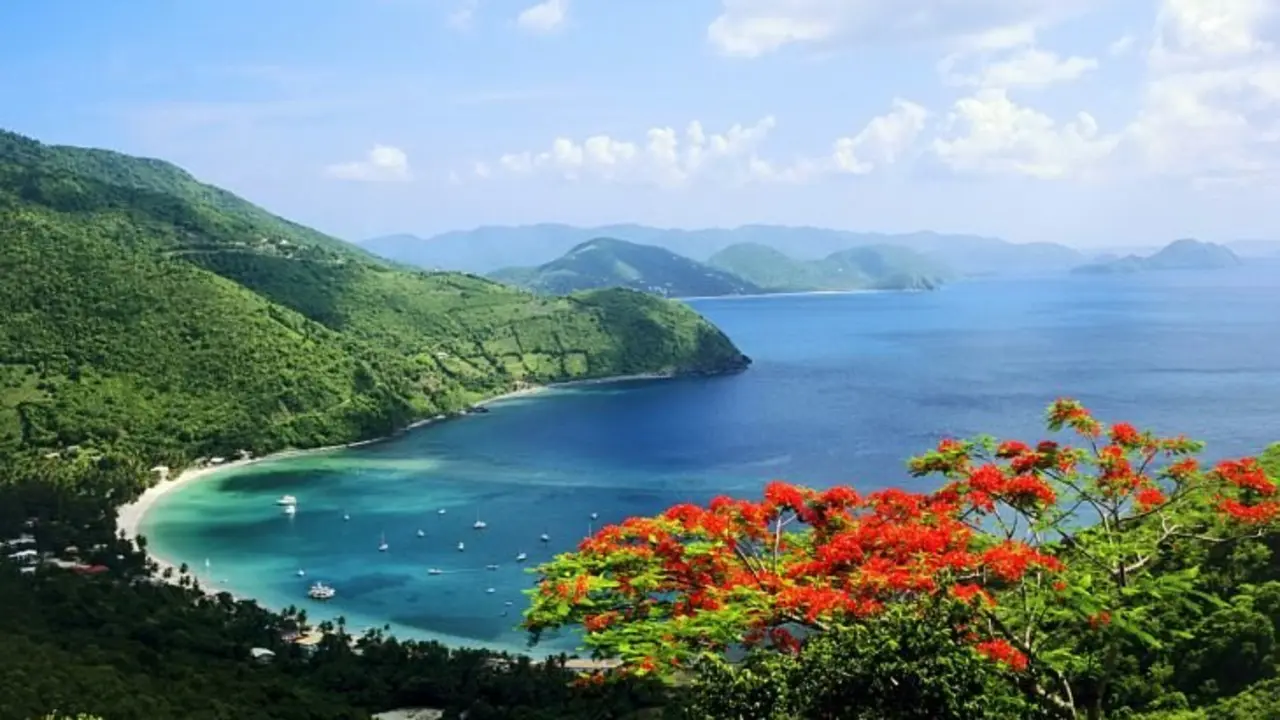 Cane Garden Bay, Tortola. / Nylon Ventures