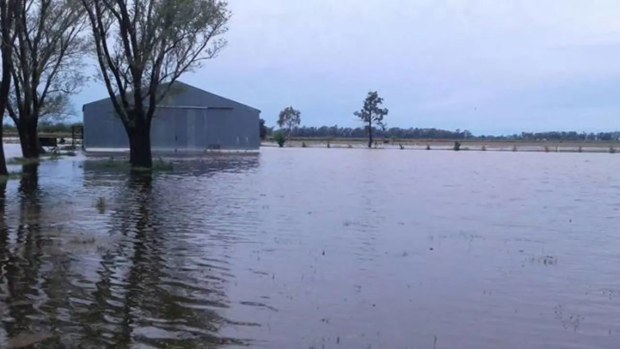 Inundaciones en General Villegas y zonas de Tres Algarrobos