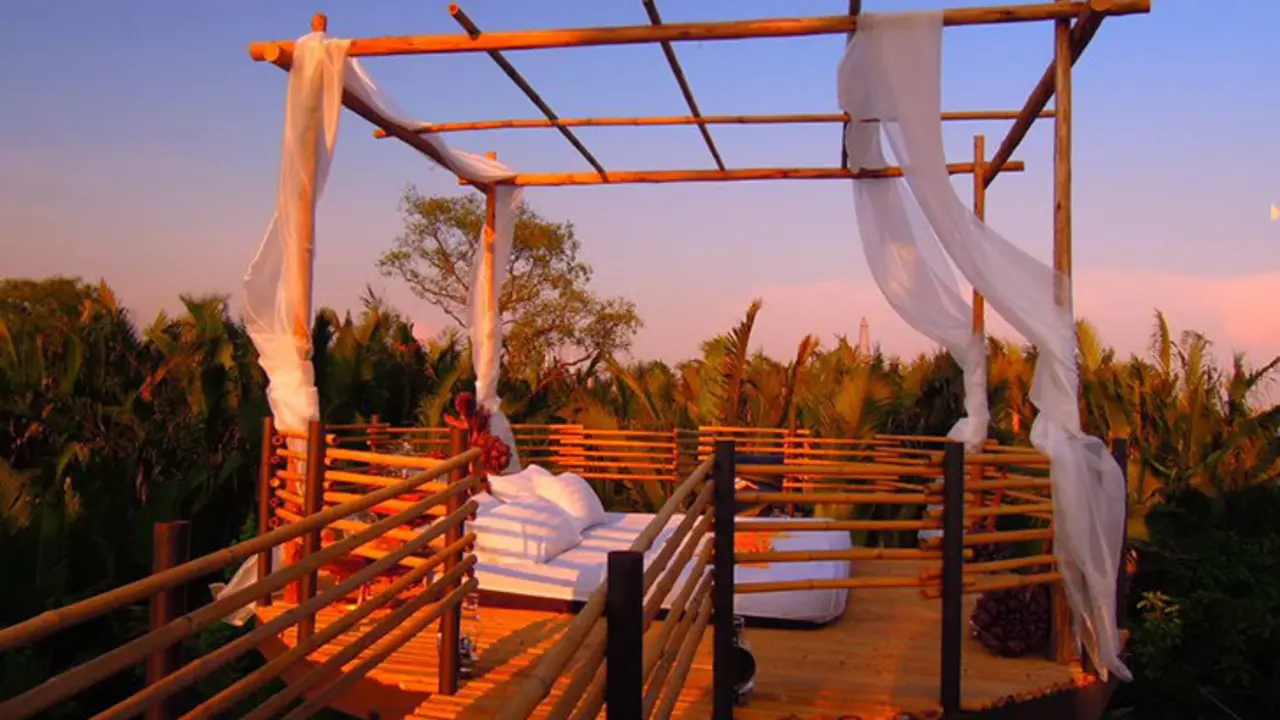 View with a room. / Bangkok Tree House