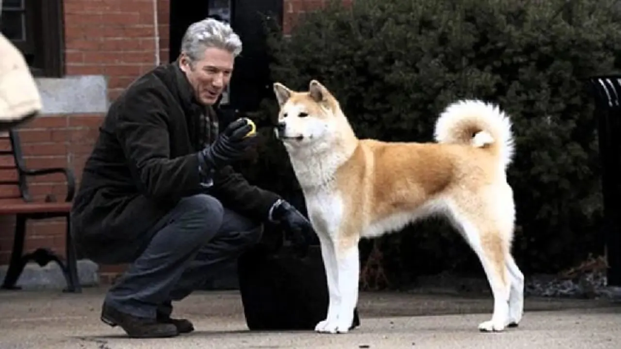 De la pel&iacute;cula Hachiko A Dog's Story