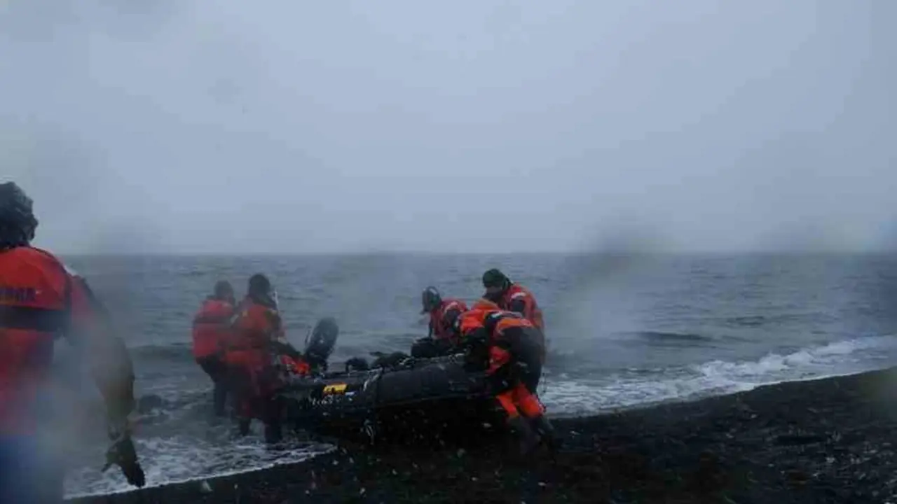 Investigadores de la Universidad de Vigo estudian macroalgas en Isla Decepcion. / Mundiario