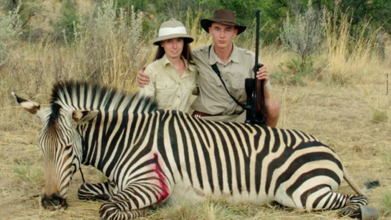 Safari.