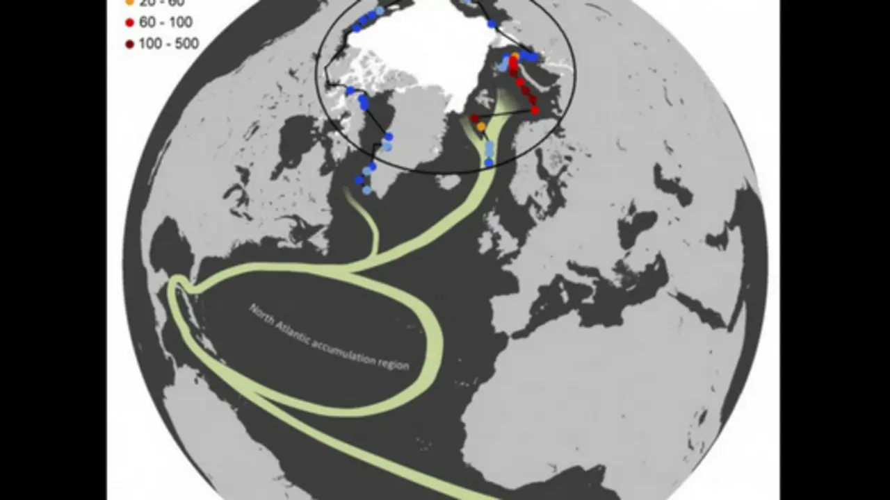 En el mapa, ubicaci&oacute;n y concentraci&oacute;n de los residuos pl&aacute;sticos. El &aacute;rea blanca muestra la extensi&oacute;n del casquete polar en agosto de 2013 y en verde los giros oce&aacute;nicos
