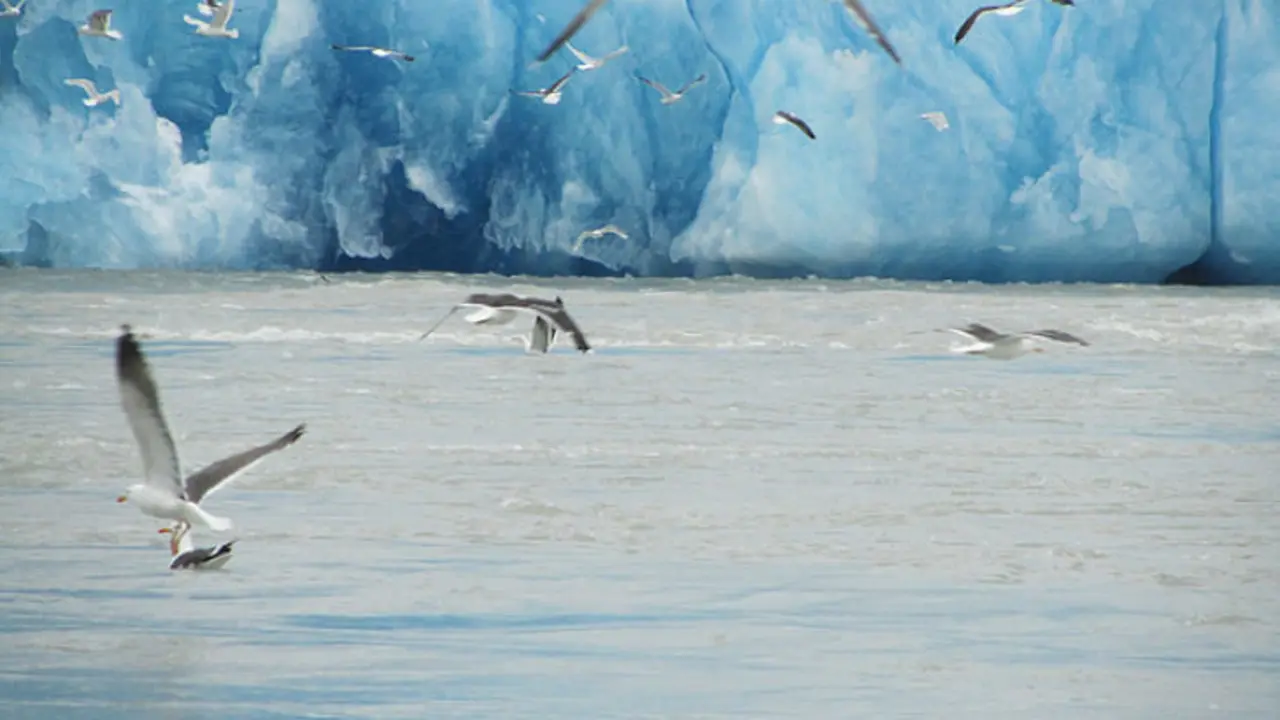 Glaciar en Groenlandia Flickr