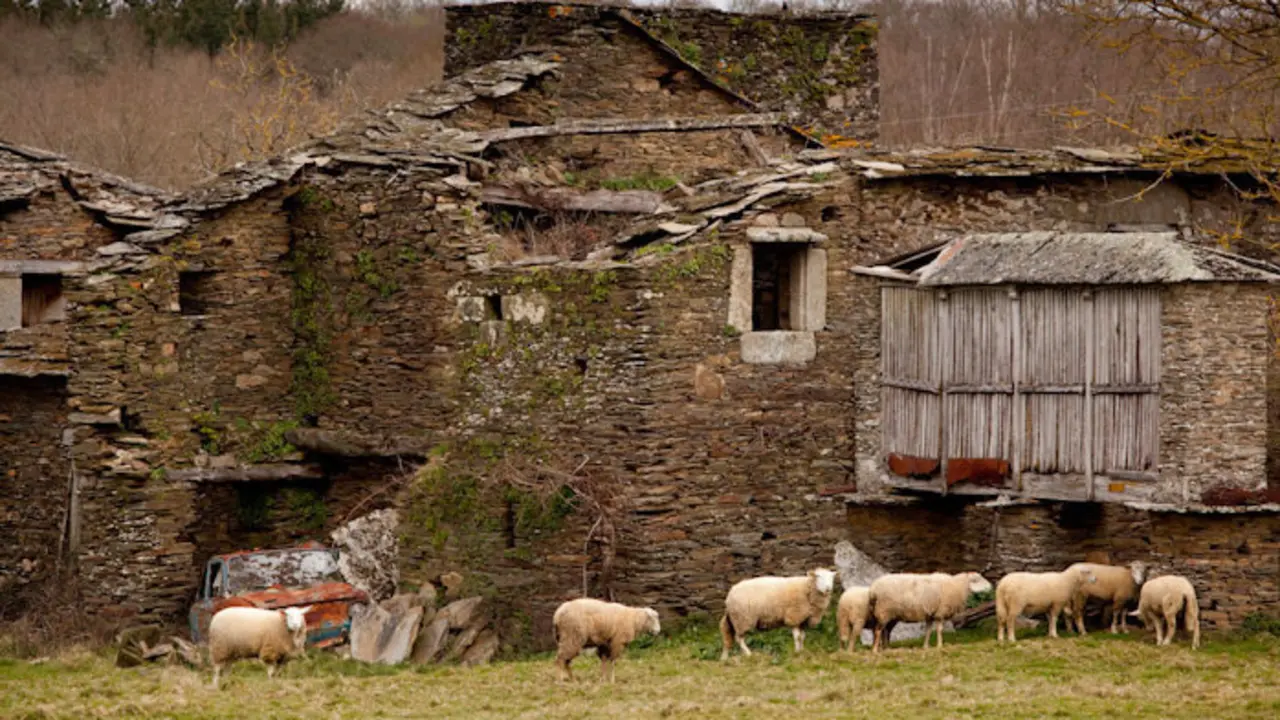 Despoblación rural. / RR.SS