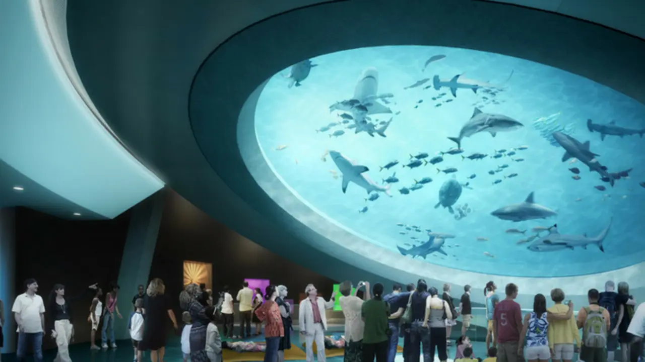 Museo de Ciencias Phillip y Patricia Frost. The New York Times.