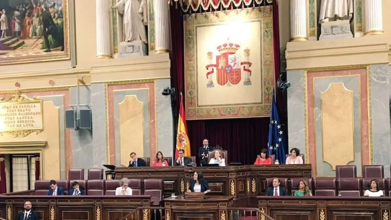Irene Montero durante su intervención de hoy en el Congreso. / Twitter