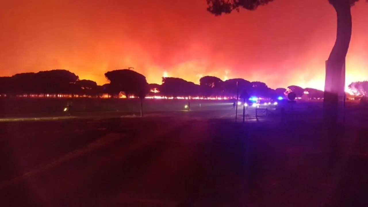Fuego en Do&ntilde;ana. / Twitter