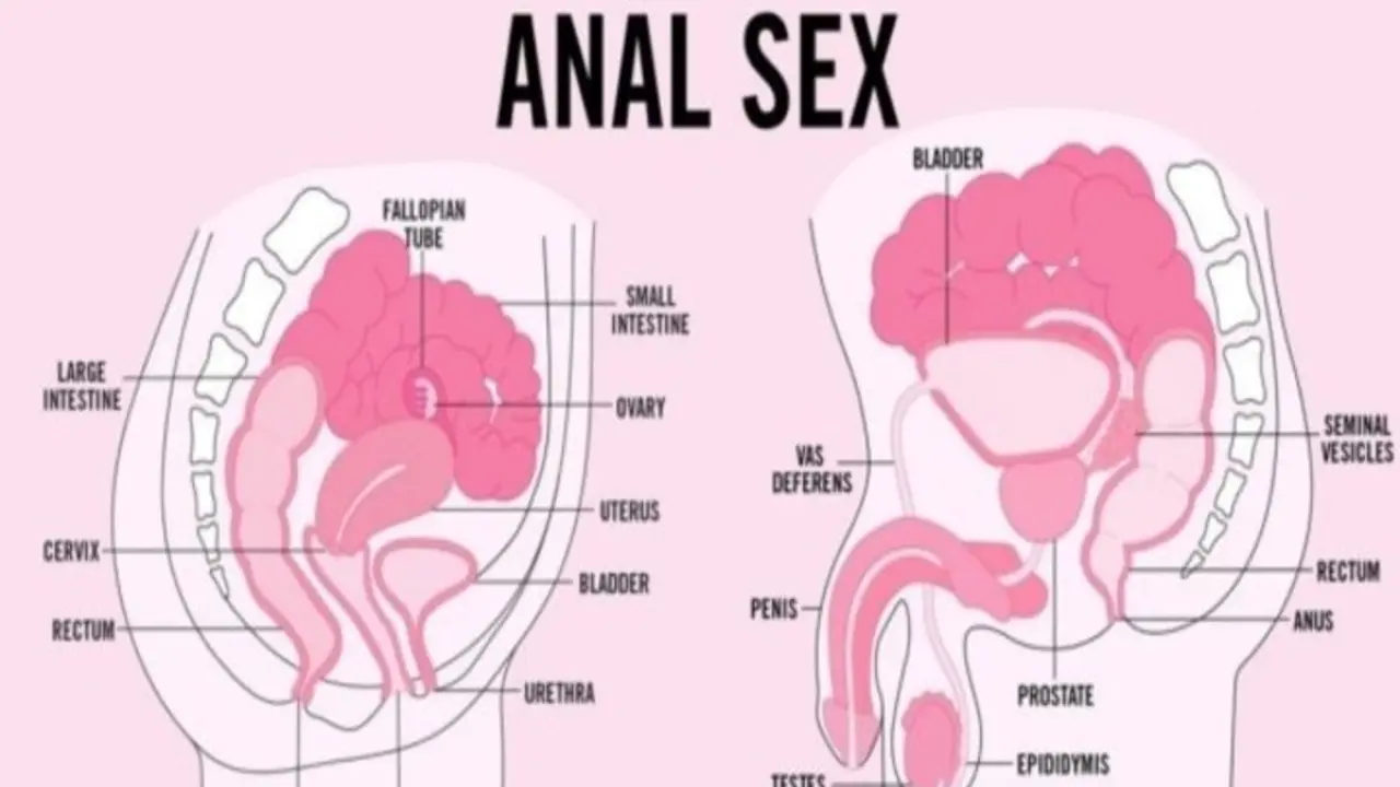 Gu&iacute;a adolescente de Teen Vogue sobre el sexo anal. / Teen Vogue