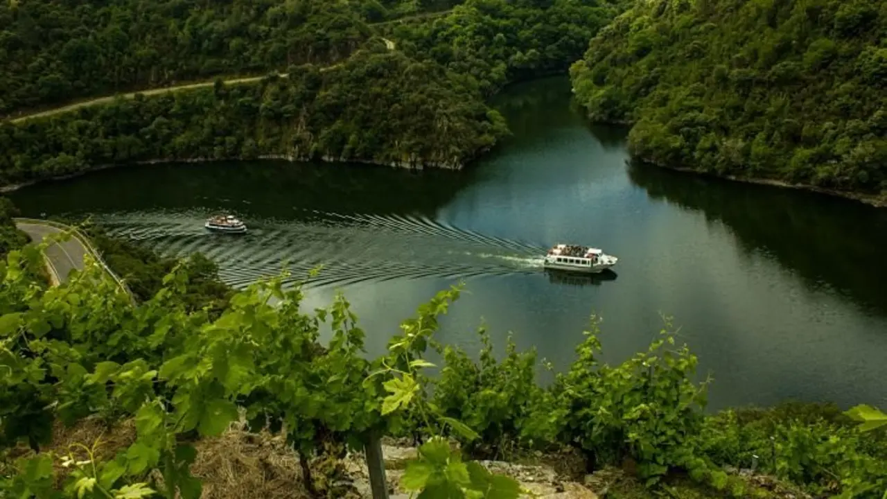 Vi&ntilde;edos de la Ribeira Sacra, zona que promociona el enoturismo. / Mundiario
