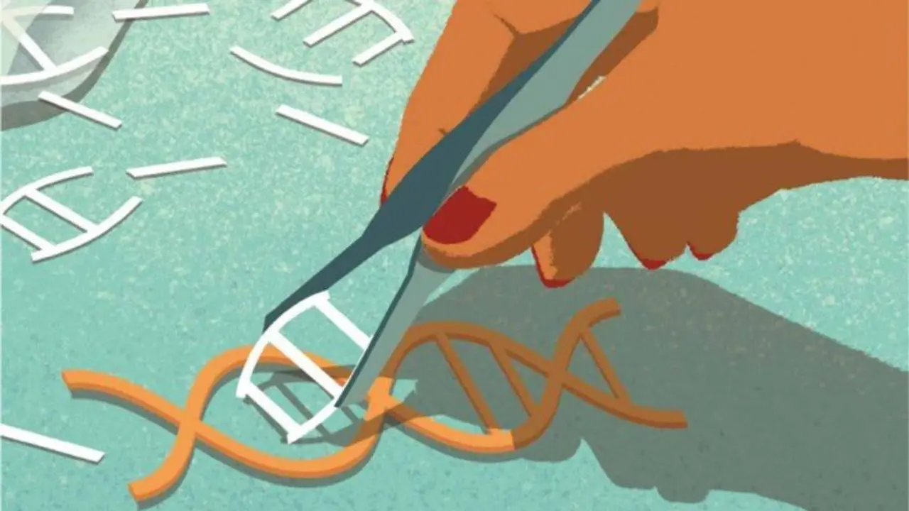 La edici&oacute;n gen&eacute;tica ha llegado y ahora los expertos discuten sus implicaciones &eacute;ticas. / sciencemag.org