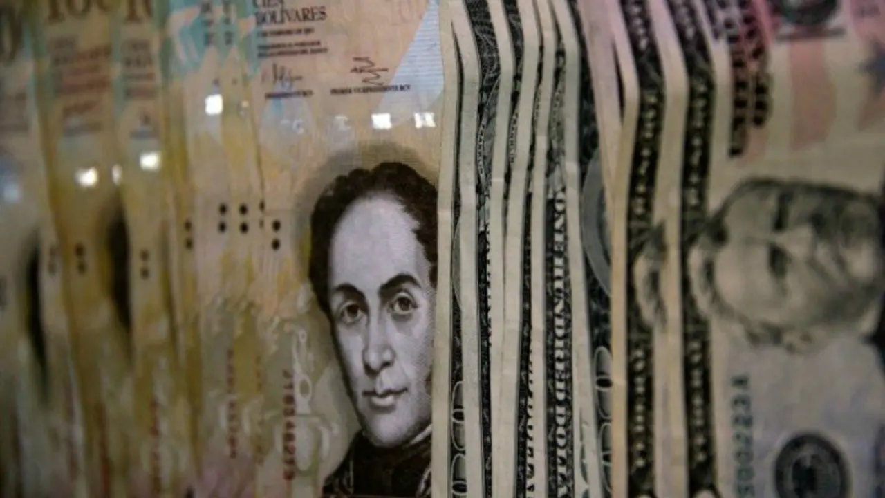 Billetes en bol&iacute;vares y d&oacute;lares. / RunRun.es