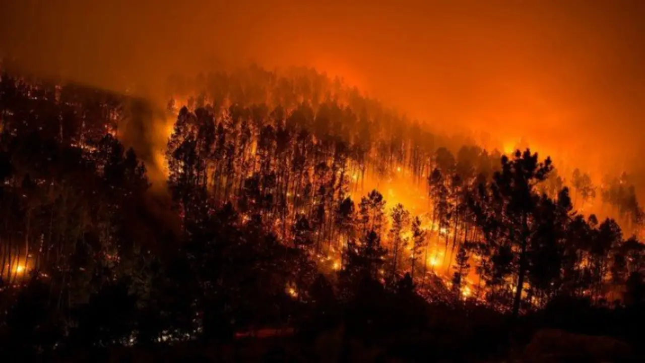 Un incendio forestal en Galicia. / X.