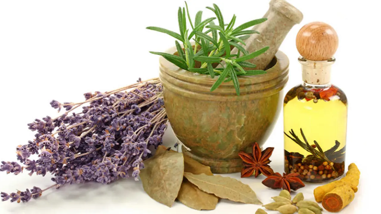 Plantas medicinales.