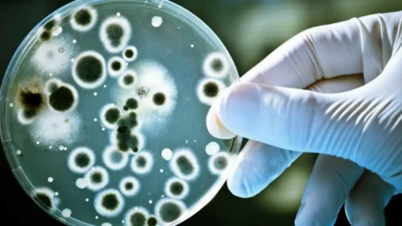 Superbacterias. ECOS LA