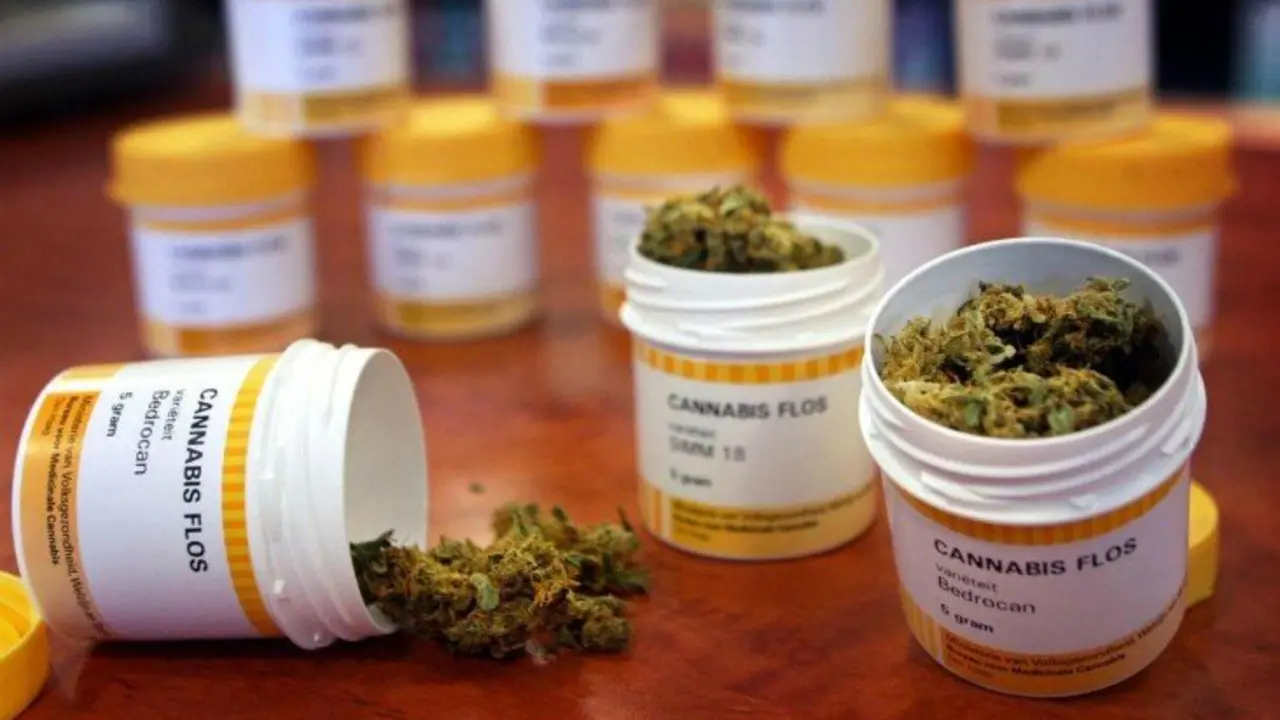 Marihuana medicinal. El Comercio Per&uacute;