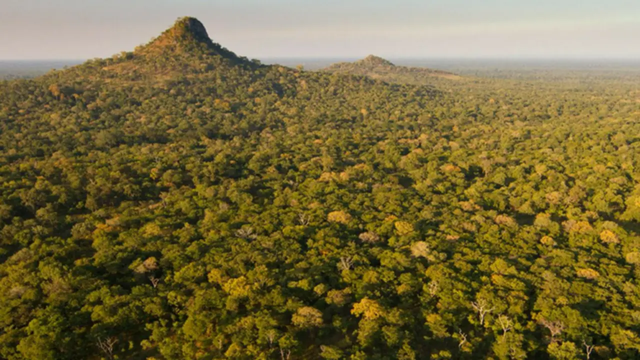 Gorongosa. Gorongosa.org.