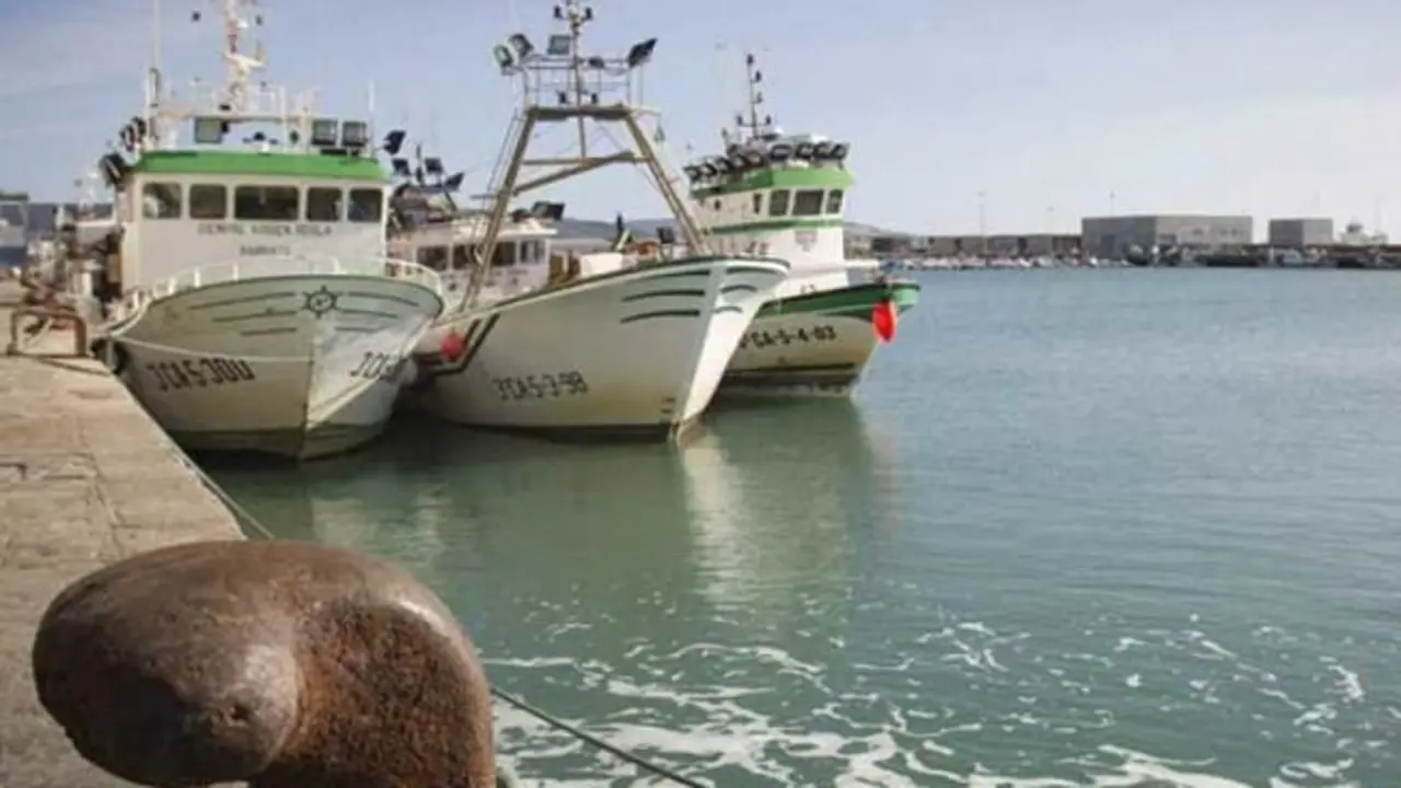 Barcos que faenan en Marruecos. / Mundiario