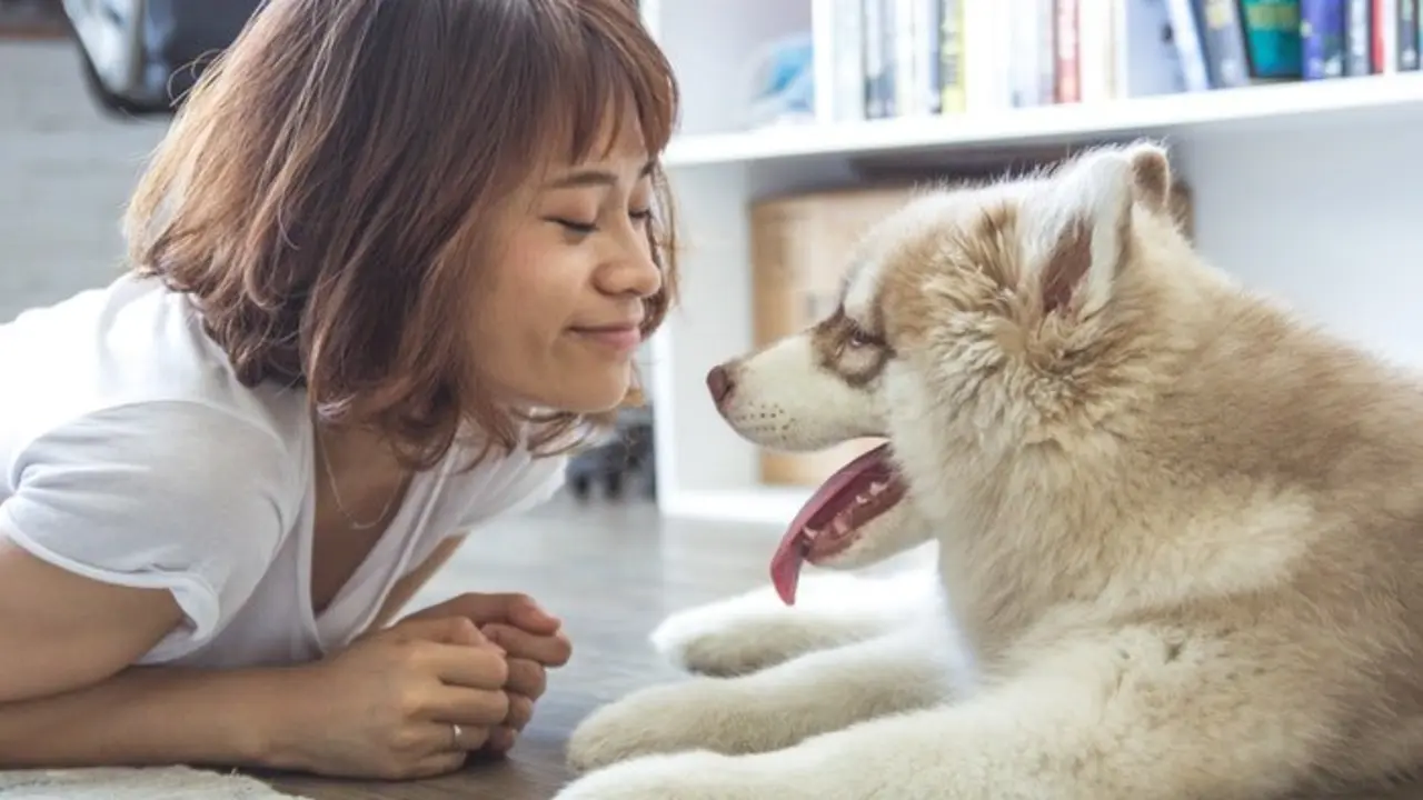 Mujer sonriente con su perro. / Pexels.com
