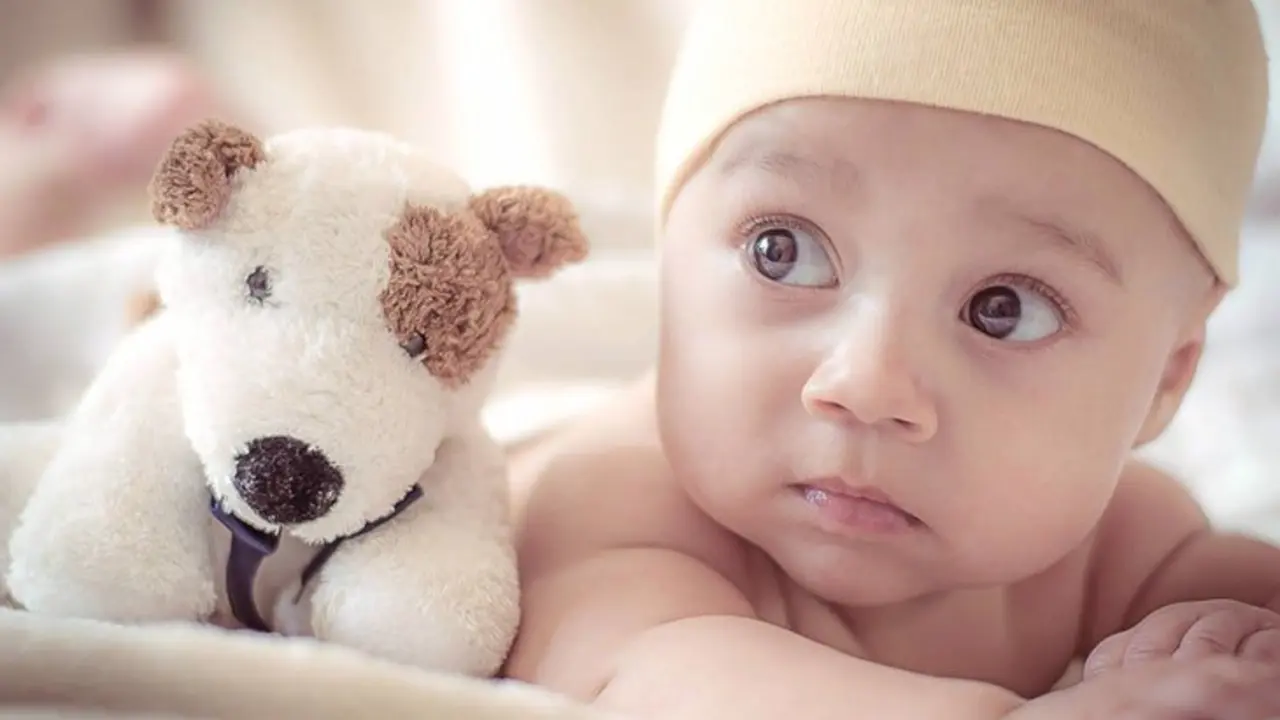 Beb&eacute;. / Pexels.com