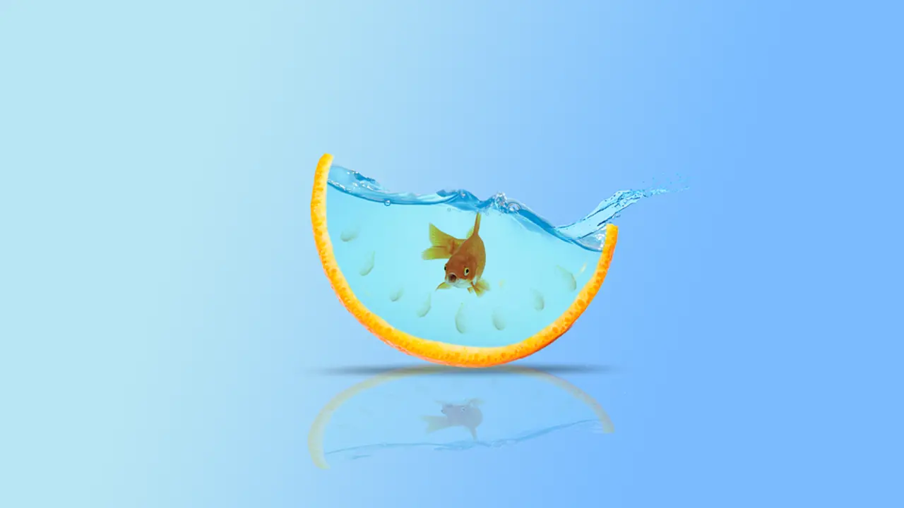 Un acuario.