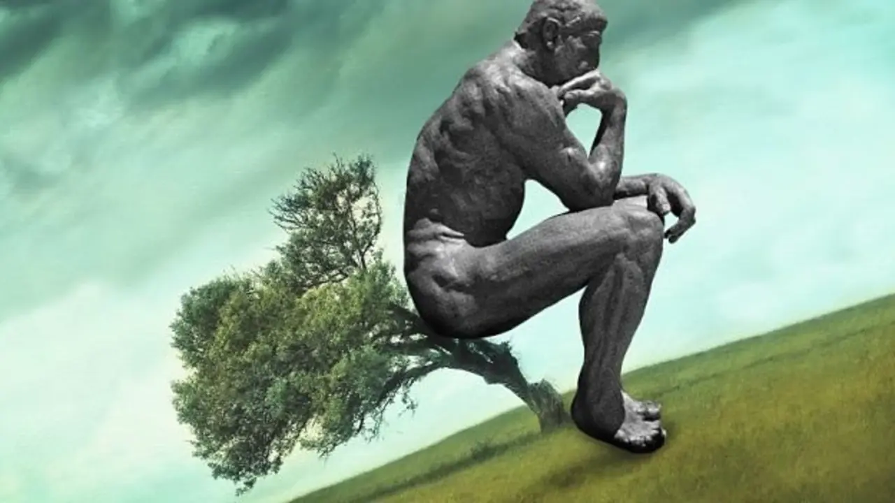 Arbol que nace torcido. / Blog La vaca independiente