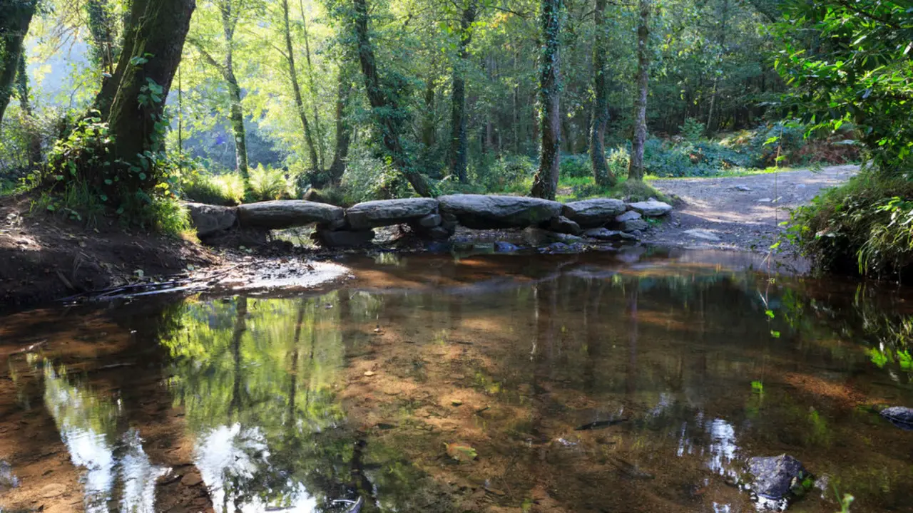 Camino de Santiago franc&eacute;s en el r&iacute;o Catasol (Melide, A Coru&ntilde;a). / Xurxo Lobato