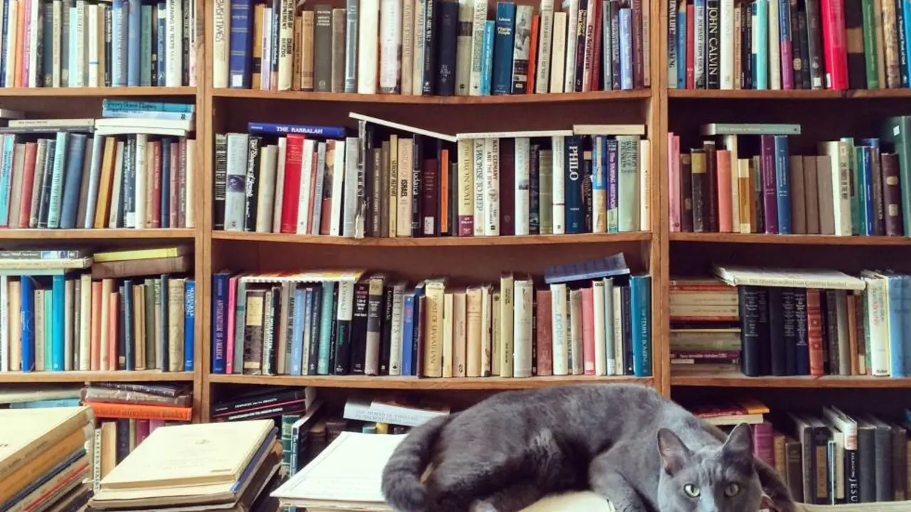 Libros./ El Pa&iacute;s