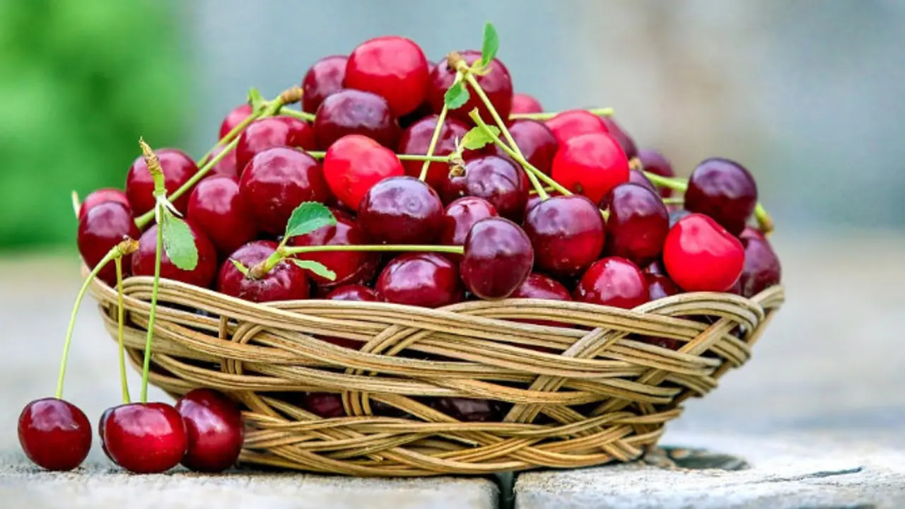 Cerezas. / Pixabay.