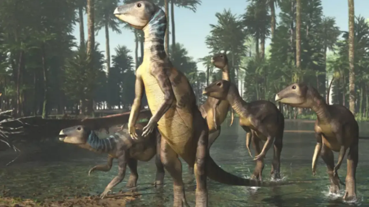 Encuentran una nueva especie de dinosaurio del tama&ntilde;o de un perro en Australia. / The Independent.