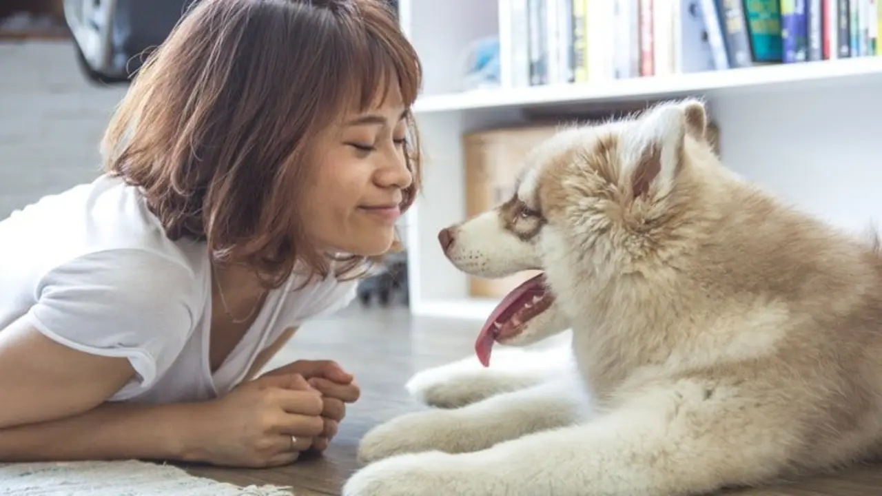 Una mujer con su perro. / Pexels.com.