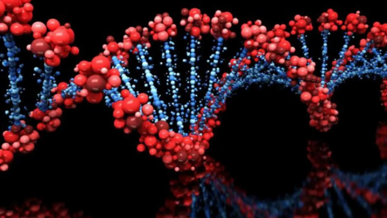Genes. / Medical News Today.