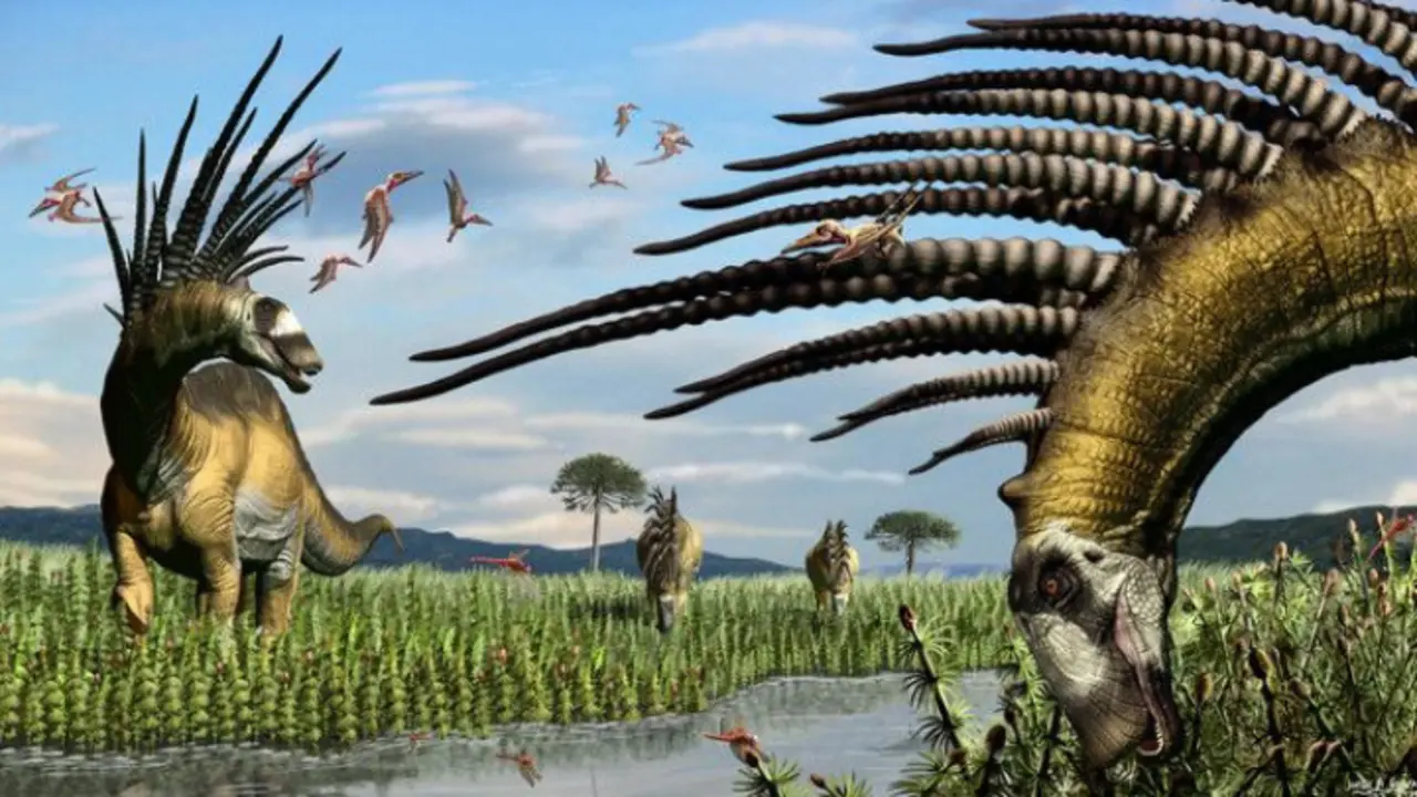 Bajadasaurus pronuspinax. RR SS (2)