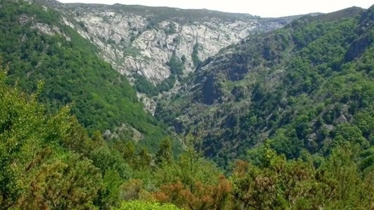Parque Natural Fragas do Eume. / Turismo de Galicia