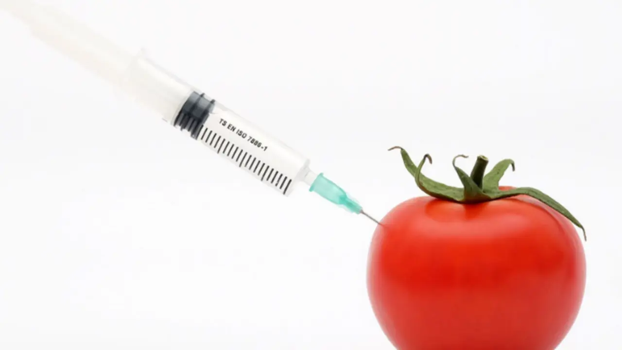 Los alimentos de edici&oacute;n gen&eacute;tica son seguros, concluye un panel japon&eacute;s. /  Cleaneatingmag.com.