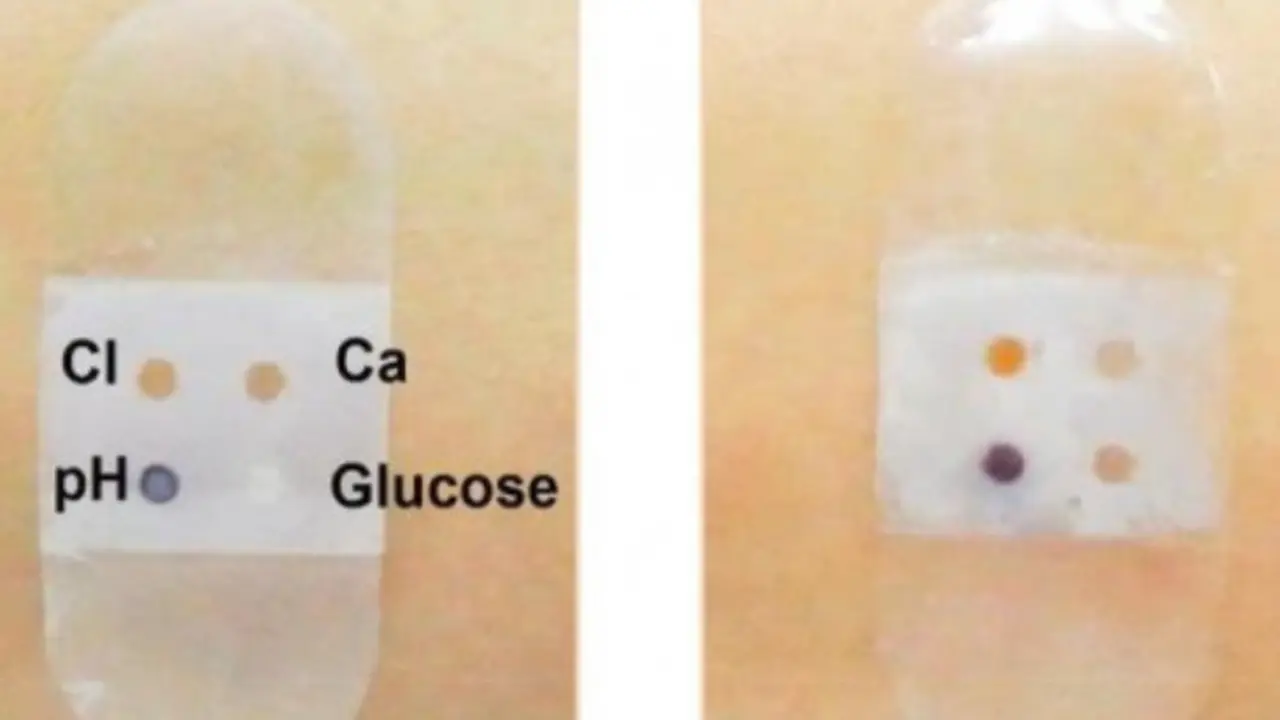Crean un biosensor de tirita adhesiva que recoge y analiza el sudor. / Science Daily.