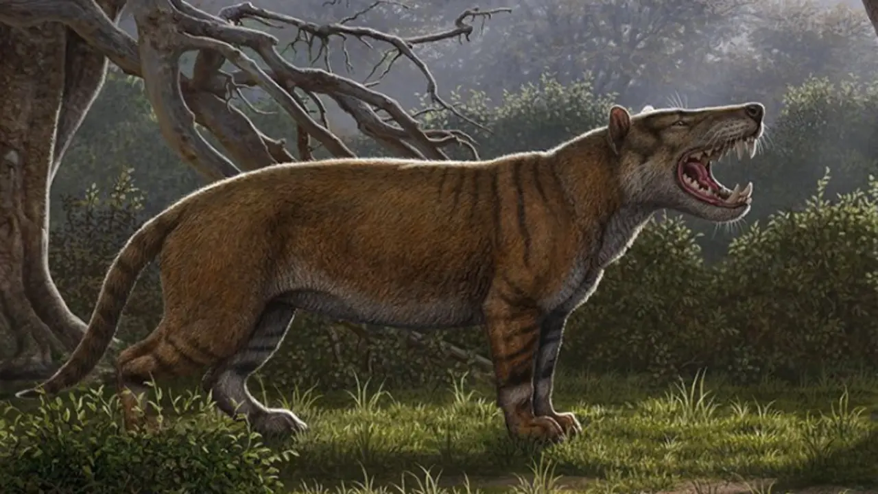 Simbakubwa kutokaafrika, el gran le&oacute;n de &Aacute;frica. / Nature.