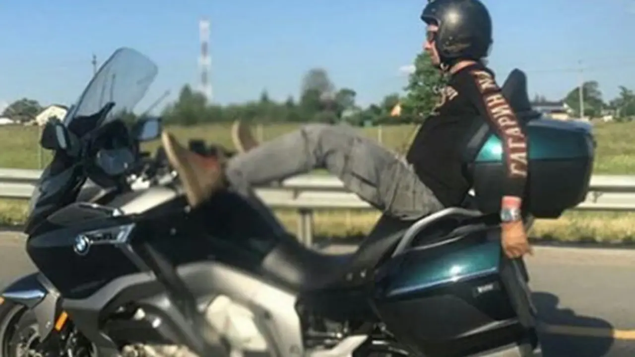 moto nexus