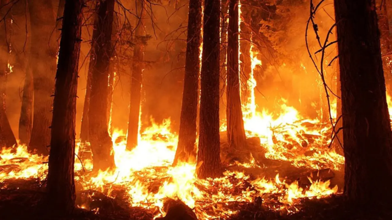 Un incendio forestal. / RR SS.