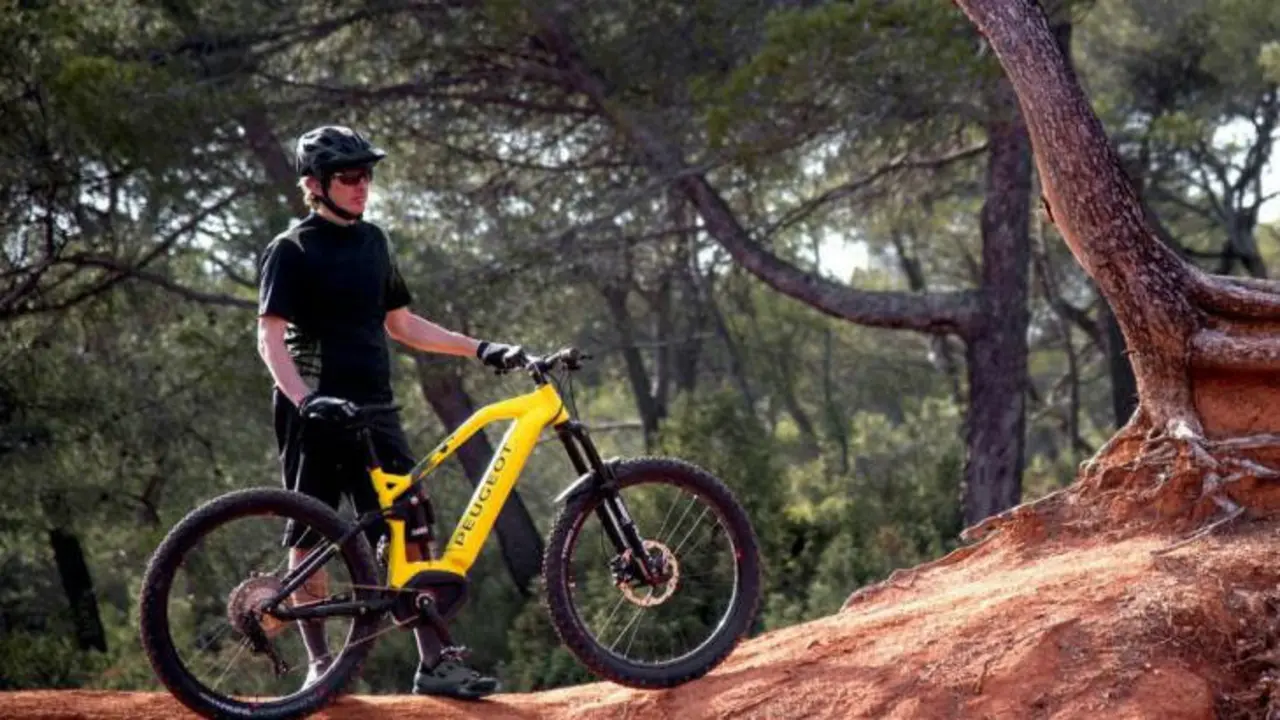 La eM01 FS PowerTube. / RR SS