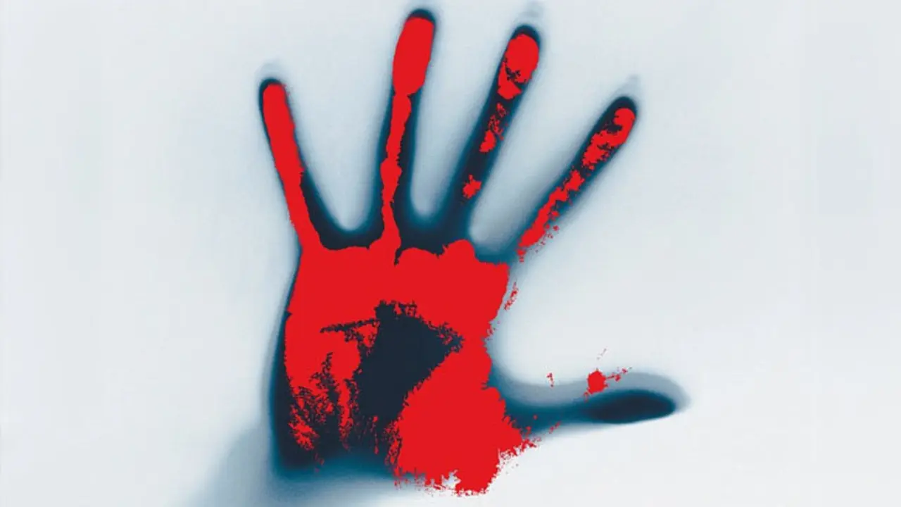 Imagen referencial de una mano llena de sangre. / Pixabay