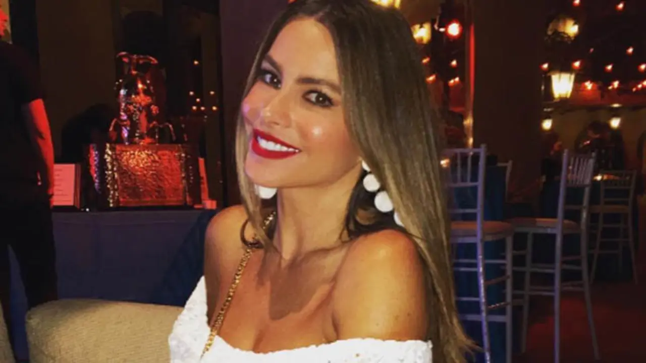Sof&iacute;a Vergara deber&aacute; pagarle m&aacute;s de un mill&oacute;n de d&oacute;lares a su ex prometido. / Instagram