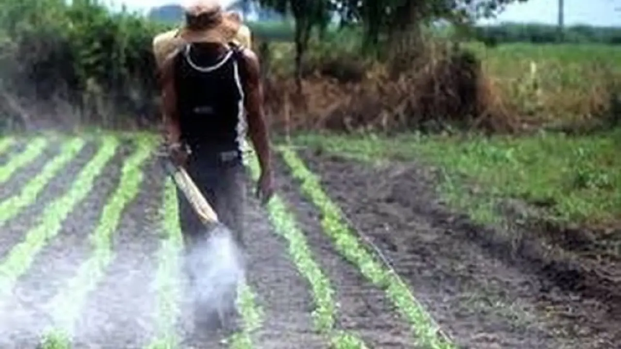 Fertilizantes de síntesis. / YouTube