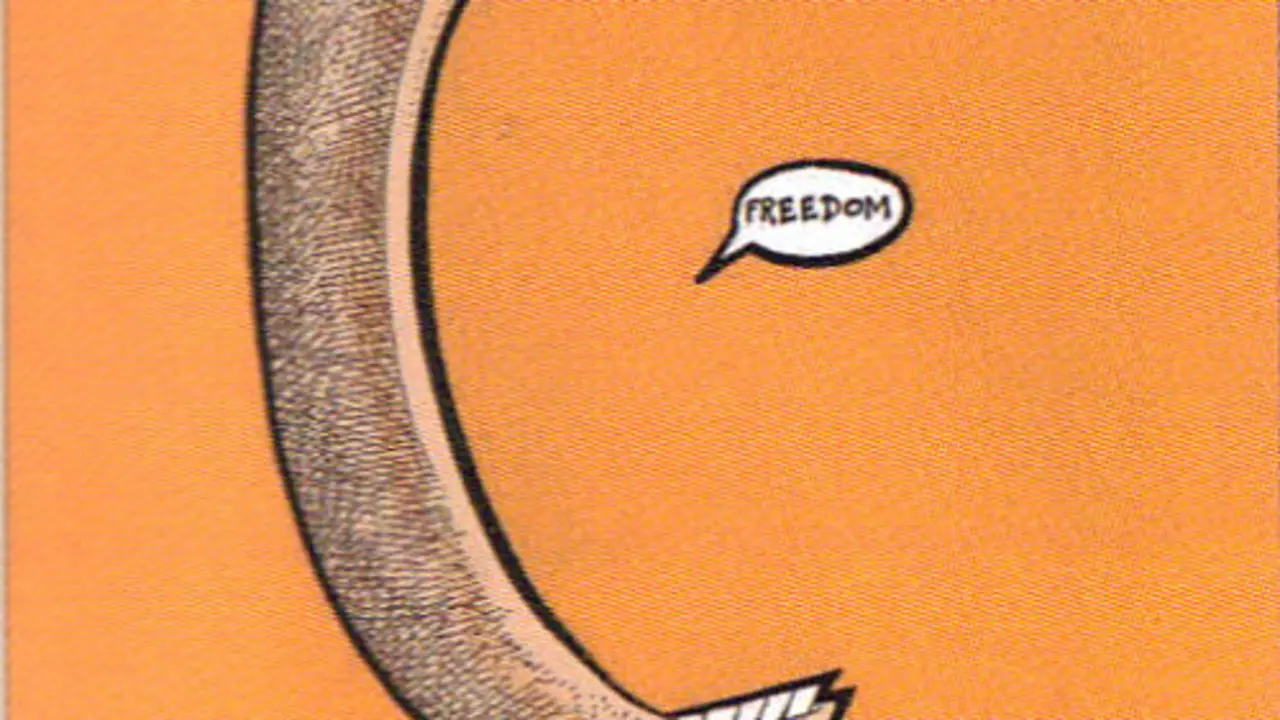 Freedom