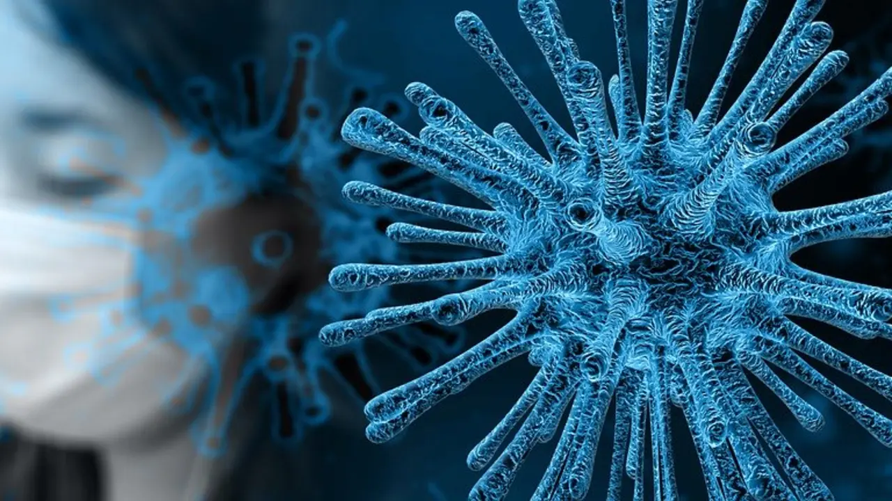 Coronavirus. / Pixabay